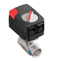 Кран з електроприводом Mastino 220В 1/2" (006305)