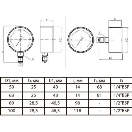  Манометр аксиальный Tervix Pro Line 63 0-10 бар 1/4 (355613)  