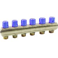 Коллектор Bianchi с вентелями Ø1" х 6 х 3/4"ЗР (синий) I=50 мм (236E06050D)