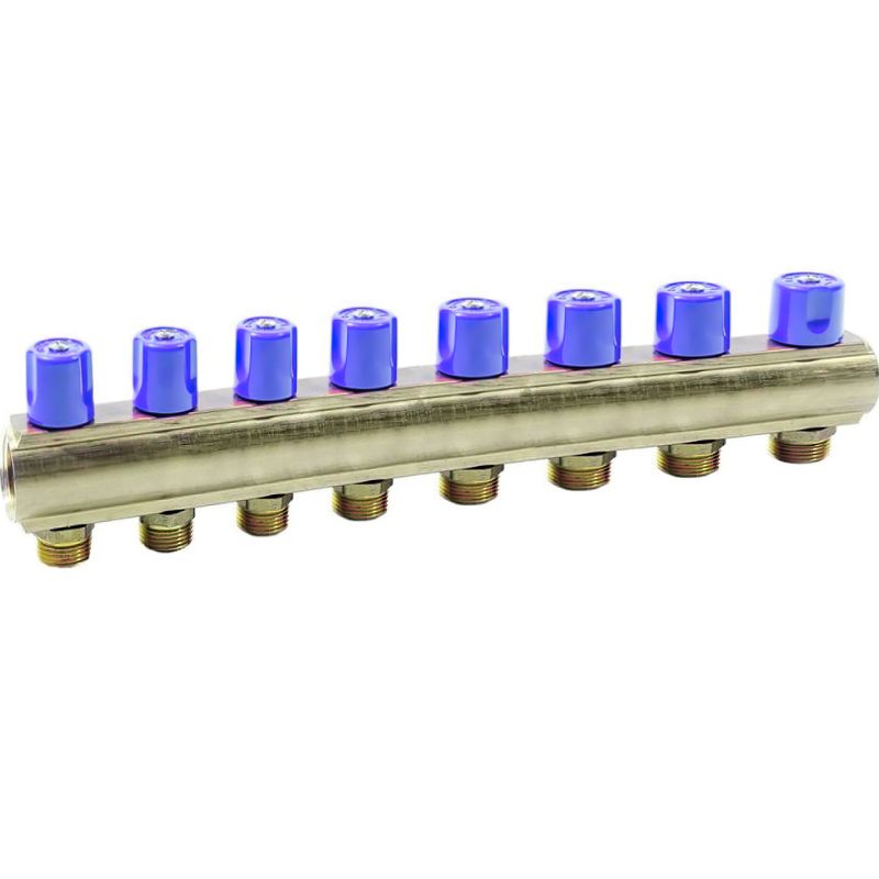 Коллектор Bianchi с вентелями Ø1" х 8 х 3/4"ЗР (синий) I=50 мм (238E06050D)