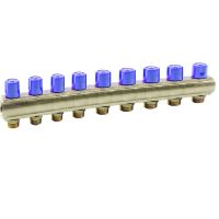 Коллектор Bianchi с вентелями Ø1" х 10 х 3/4"ЗР (синий) I=50 мм (240E06050D)